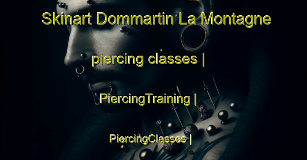 Skinart Dommartin La Montagne piercing classes | PiercingTraining | PiercingClasses | SkinartTraining-France